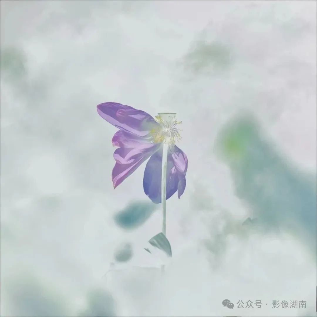 DƬ